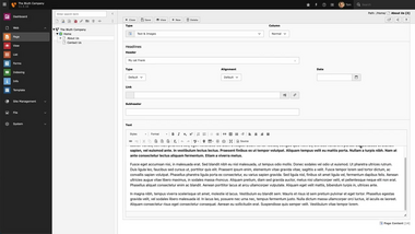 Changing A Content Elements Type - TYPO3 Editors Guide